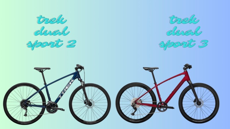 What is the difference between the Trek Dual Sport 2 and the Trek Dual Sport 3?